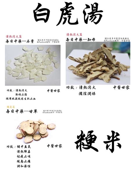 何謂白虎湯